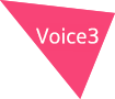 Voice3